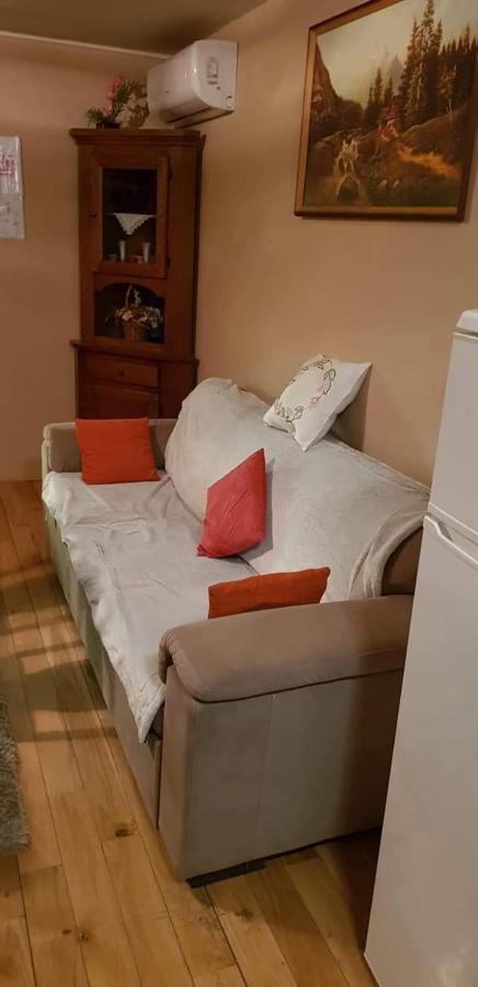 Kuca Za Odmor"Miran San" Βίλα Podgorić Εξωτερικό φωτογραφία