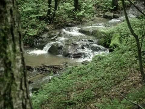 Kuca Za Odmor"Miran San" Βίλα Podgorić Εξωτερικό φωτογραφία